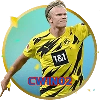 CWIN02
