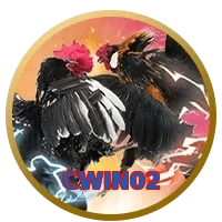 CWIN02